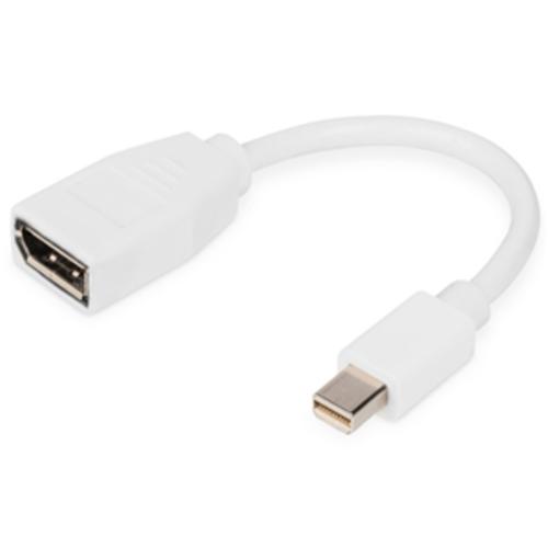 image of Ednet mini DisplayPort (M) to DisplayPort (F) Adapter Cable.