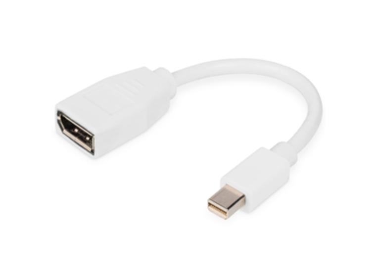 product image for Ednet mini DisplayPort (M) to DisplayPort (F) Adapter Cable.