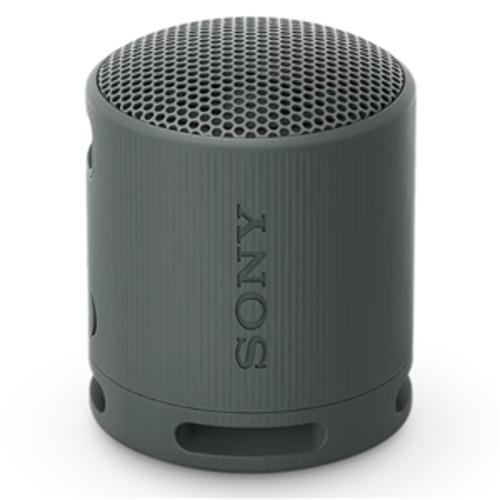 image of Sony SRSXB100H Wireless Speaker Grey