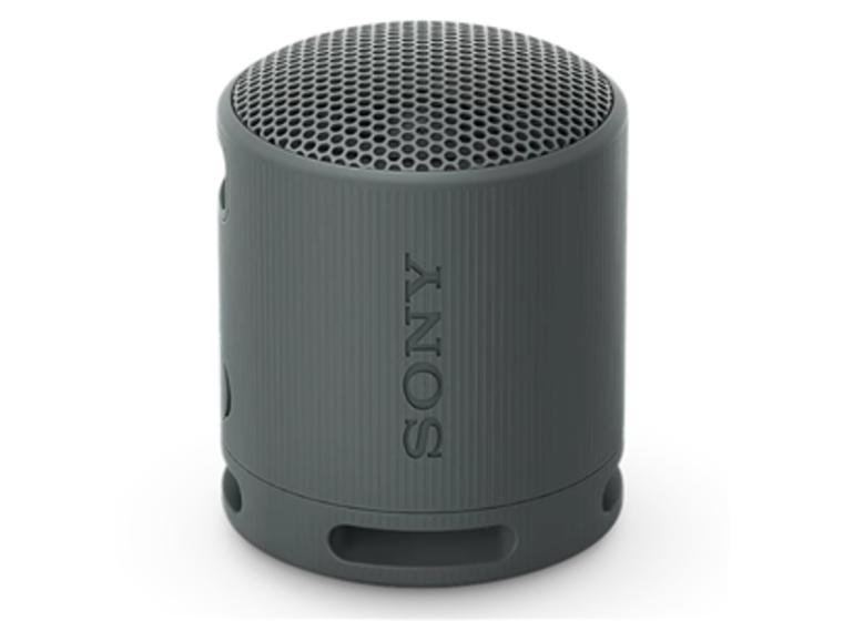 product image for Sony SRSXB100H Wireless Speaker Grey